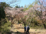 DSC04252.JPG