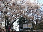 DSC04259.JPG