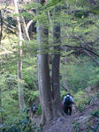 DSC04263.JPG