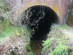 DSC04273.JPG