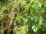 DSC04246.JPG