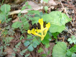 DSC04247.JPG