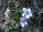 DSC04255.JPG