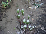 DSC04261.JPG