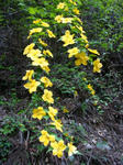 DSC04269.JPG