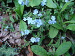 DSC04270.JPG
