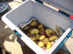 DSC04282.JPG