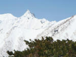 DSC04358.JPG