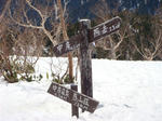 DSC04361.JPG