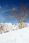 048_IMG_2520-1.jpg