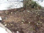 DSC04393.JPG