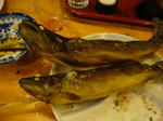 DSC04476.JPG
