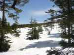DSC04485.JPG