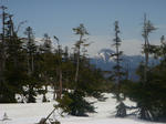 DSC04516.JPG