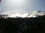 bd936367.jpeg