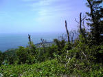 DVC00142.JPG