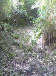 DVC00149.JPG