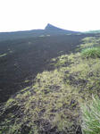 DVC00160.JPG