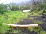 DVC00172.JPG