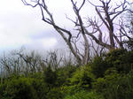 DVC00176.JPG