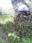 DVC00177.JPG