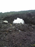 DVC00196.JPG