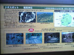 DVC00174.JPG
