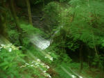 DSC04597.JPG