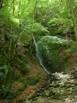DSC04606.JPG
