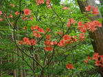 DSC04627.JPG