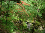 DSC04630.JPG