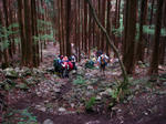 DSC04654.JPG