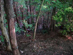 DSC04675.JPG