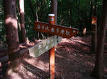 DSC04678.JPG