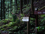DSC04681.JPG