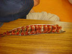 DSC04736.JPG
