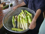 DSC04750.JPG