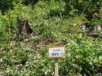 DSC04763.JPG