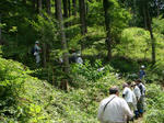 DSC04764.JPG