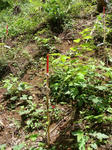 DSC04765.JPG