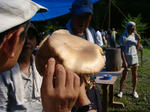 DSC04770.JPG
