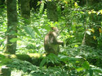 DSC04910.JPG