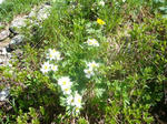 DSC04824.JPG