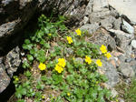 DSC04854.JPG
