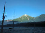 CIMG0280.JPG