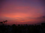 DSC04954.JPG