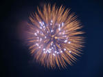 DSC04963.JPG