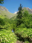 DSC04988.JPG
