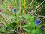 DSC05023.JPG
