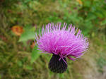 DSC05026.JPG